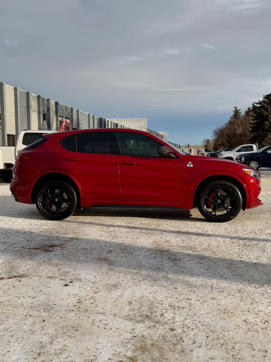 All wrapped up and ready for the holidays 🎄 

We gave this Stelvio the final touches it deserved. The lower doors, rocker panels, and rear impacts are now protected.

#AlfaRomeo #StelvioQuadrifoglio #HolidayReady #PaintProtectionFilm #PPF