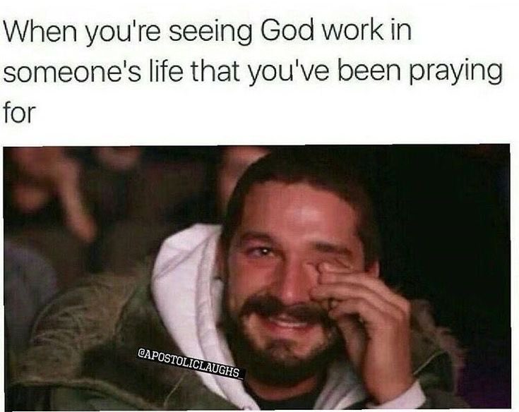 KObregonWriter's tweet image. This is the best thing ever 🥹