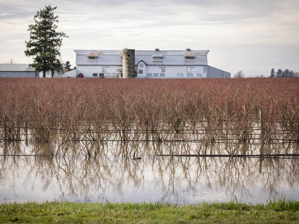 VancouverSun's tweet image. B.C. says it needs Ottawa's help to pay for flood risk reduction plan vancouversun.com/news/bc-says-i…