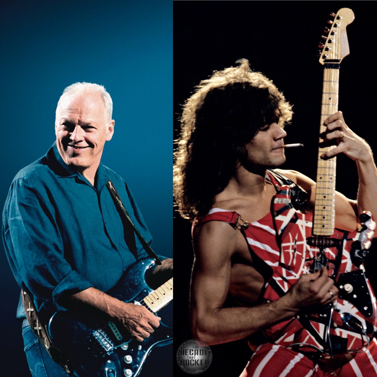 Kelly Parker 🎙🇨🇦 tweet media