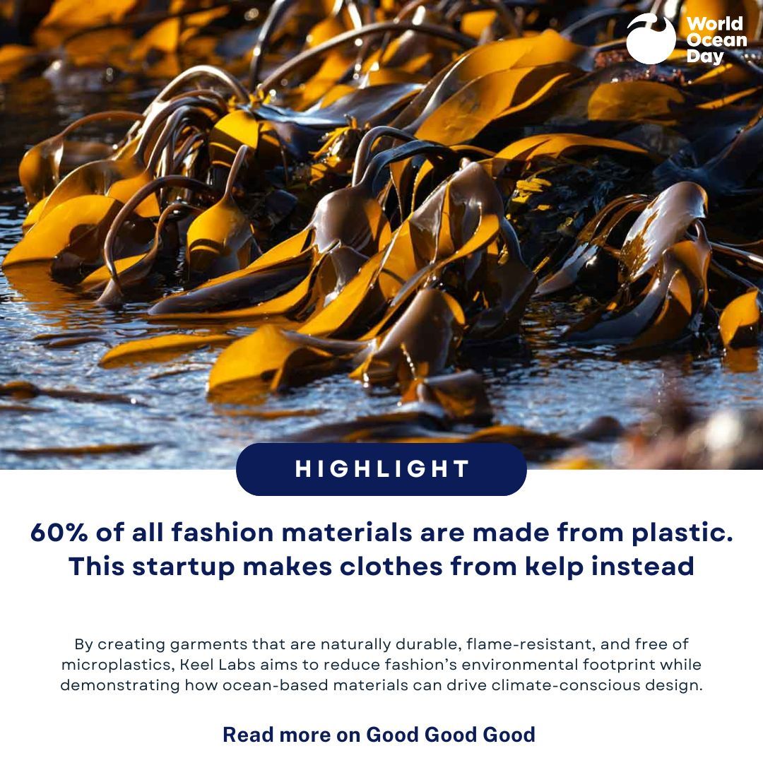 World Ocean Day tweet media