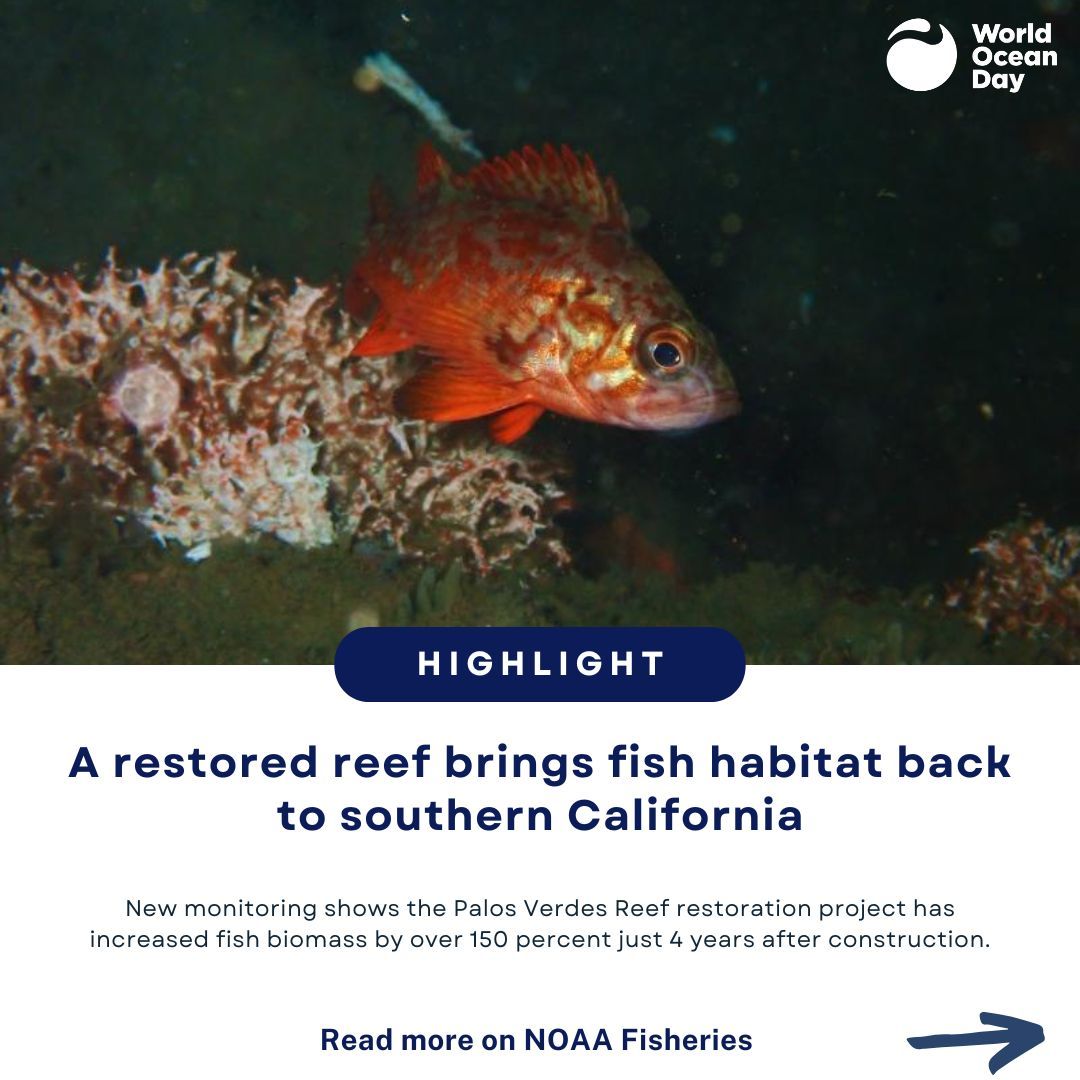 World Ocean Day tweet media