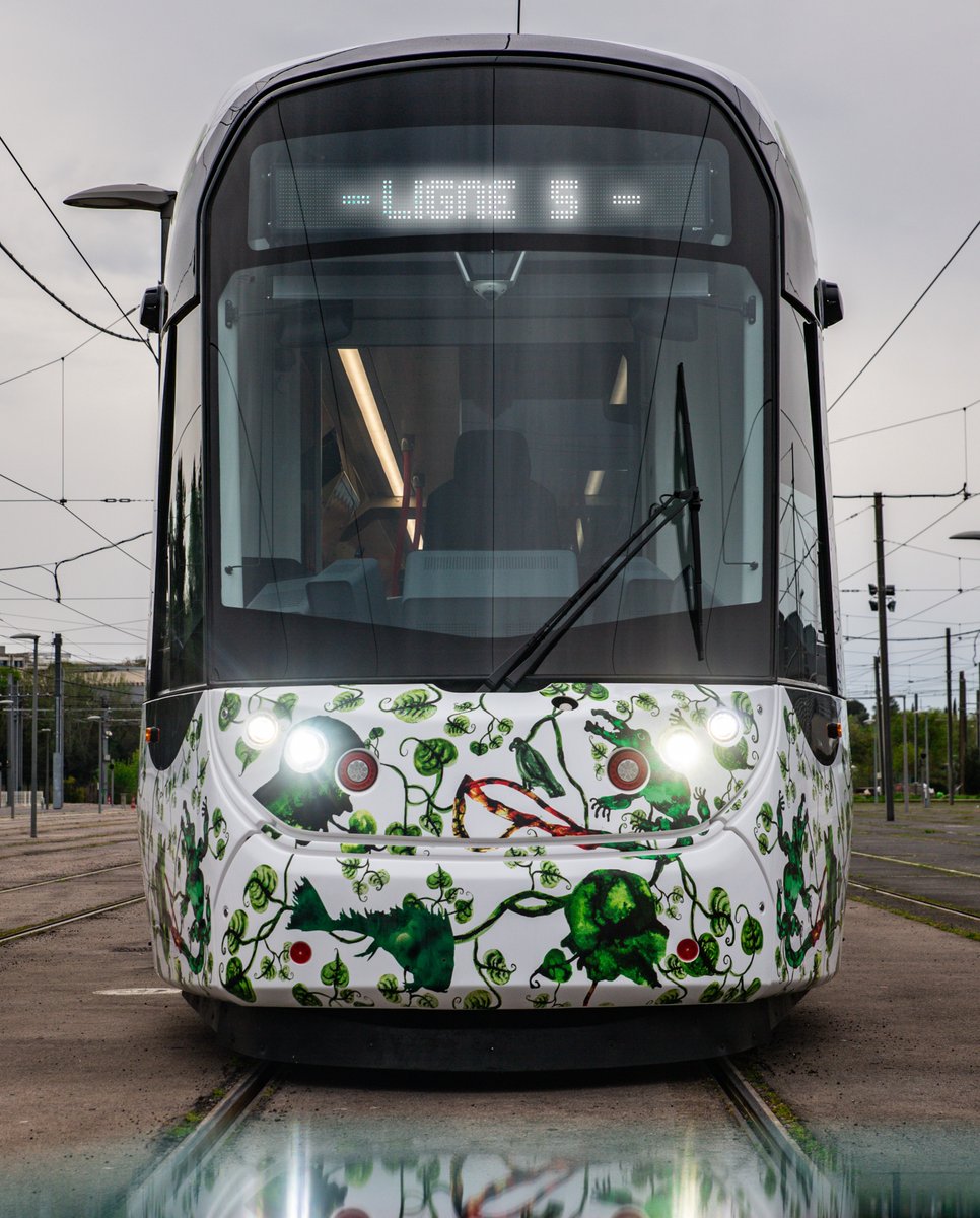 🚋🍃 LIGNE 5 : DÈS LE PETIT MATIN, NOS ÉQUIPES VOUS ATTENDENT À BORD !

À partir de demain, votre Ligne 5 vous transporte entre Clapiers et Grés de Montpellier. Rendez-vous pour les premiers départs :
🌳 station Clapiers, dès 4h42
💐 station Grés de Montpellier, dès 4h54

1/2