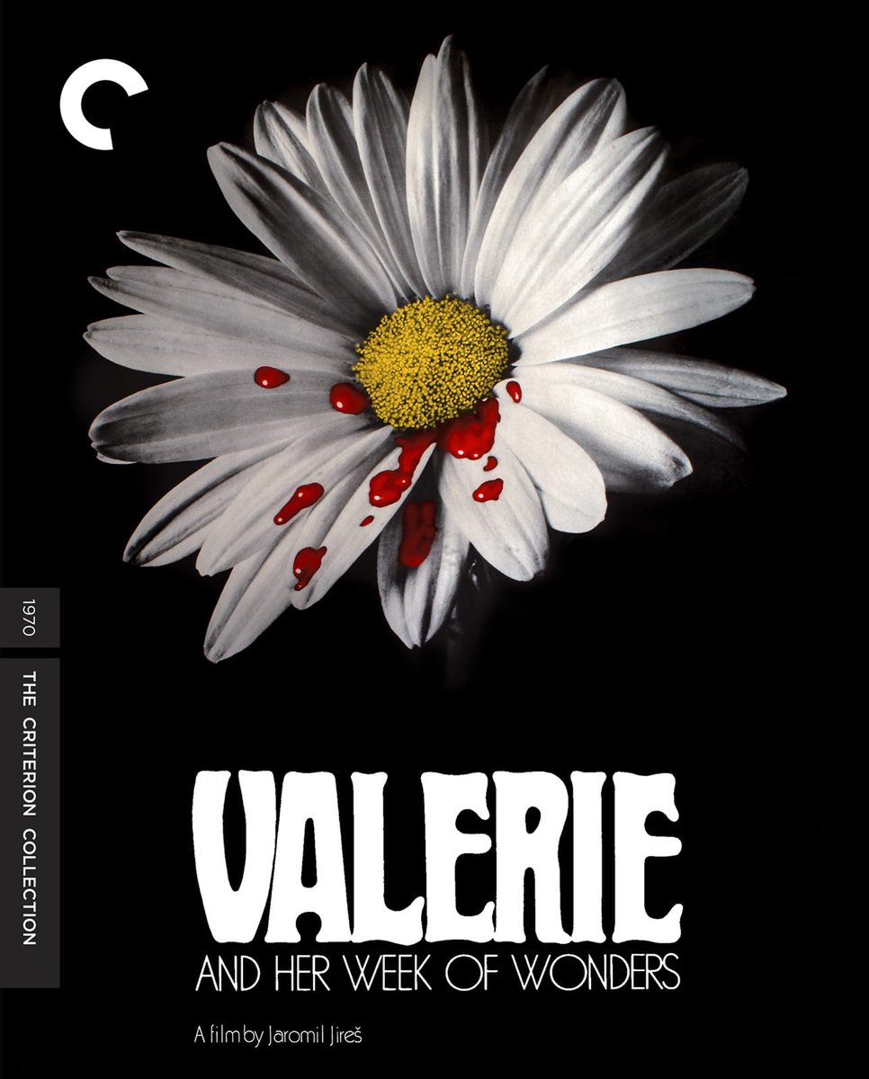 Criterion's tweet image. Florence's Picks (more to come. . .: 
WITHNAIL AND I 
GREY GARDENS 
VALERIE AND HER WEEK OF WONDERS 
PINA