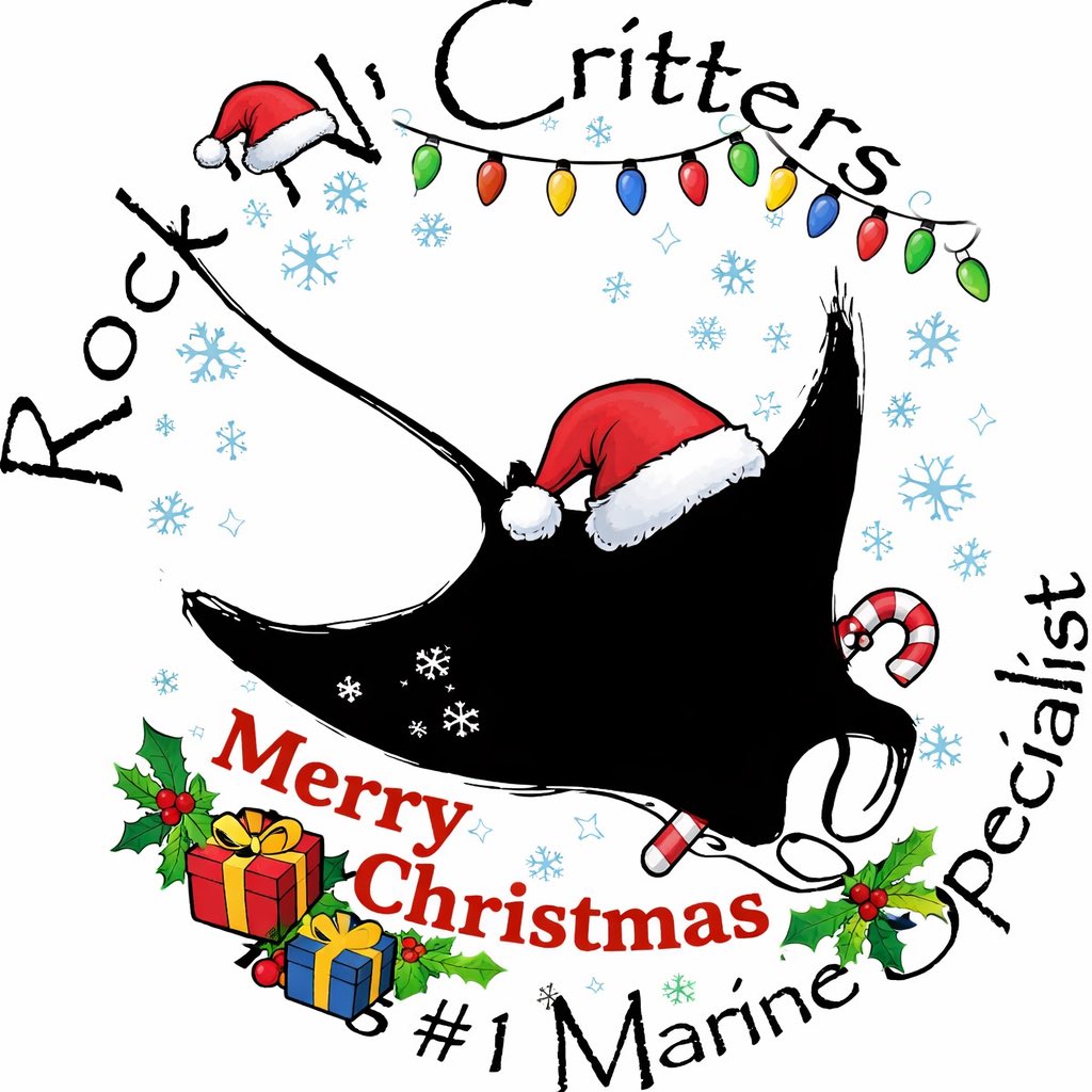 As this year comes to an end and the holidays approach, we wanted to wish you all, and your families, a Very Merry Christmas from the RnC Team 
Opening Times:-
Christmas Eve - CLOSED
Christmas Day - CLOSED
Boxing Day - CLOSED
New Years Eve -  CLOSED
New Years Day - CLOSED