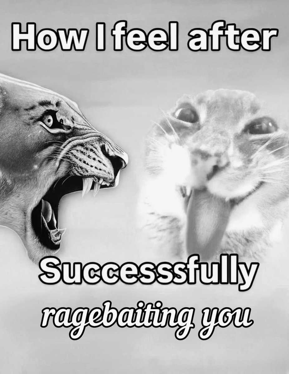 WildSentences's tweet image. 