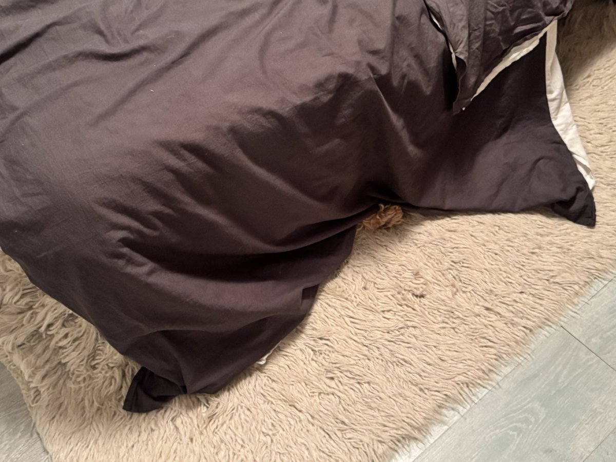 Welkom bij de 417e aflevering van uw favoriete gameshow ‘Zoek de Beppert’!
Ook nu weer hebben wij ons stinkende best gedaan om ‘t voor zo moeilijk, maarrr…ook zo leuk mogelijk te maken! 
Veel zoekplezier dus!

Over de uitslag kan wederom niet gecorrespondeerd worden!
Dank u wel!