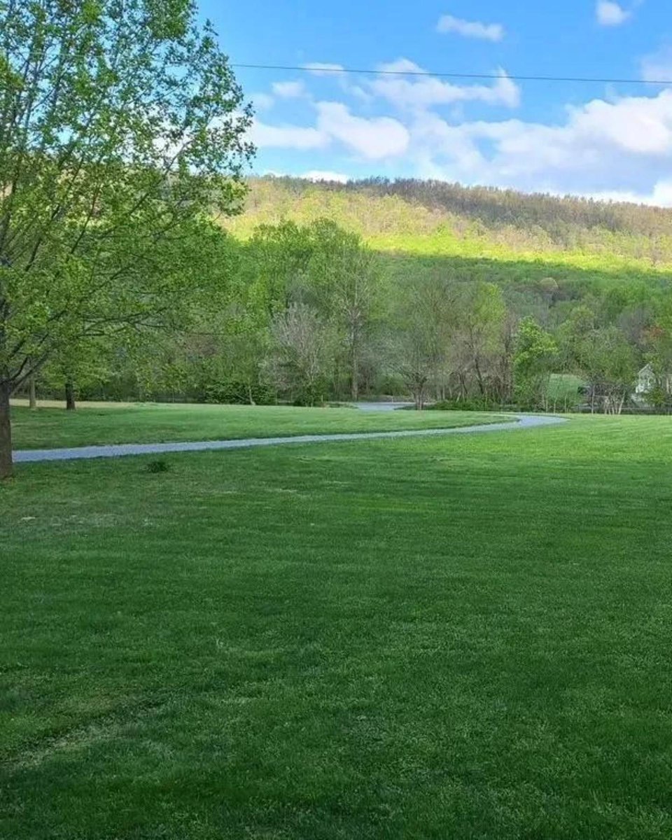 BarryAllbright's tweet photo. You won't believe the view in this peaceful mountain area!   beautiful 4-bed, 2.5-bath Colonial with 3.26 acres.   Finished basement and two car garage.  Luxury primary bath with heart shaped soaking tub and separate shower.  Priced at $875,000. https://t.co/VasqJVhrNi