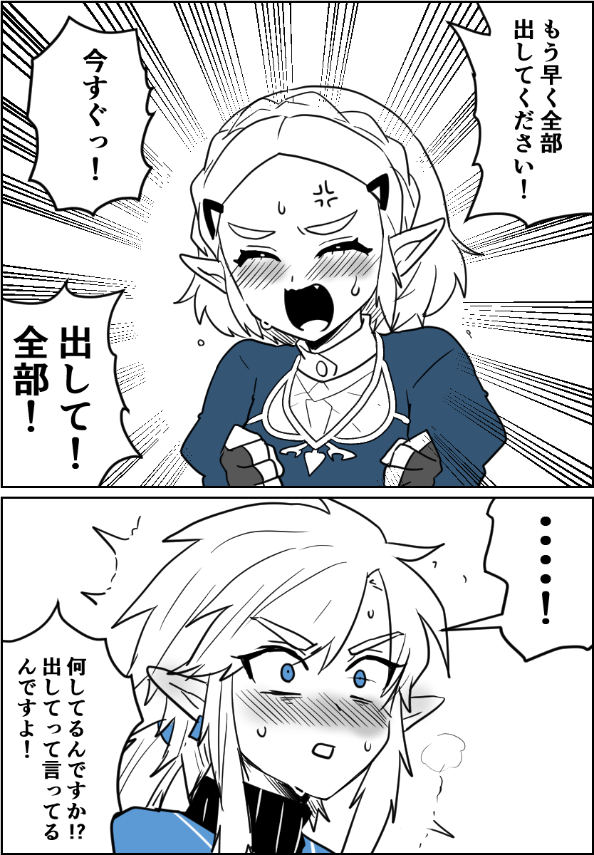 ゼルダ様の命令 