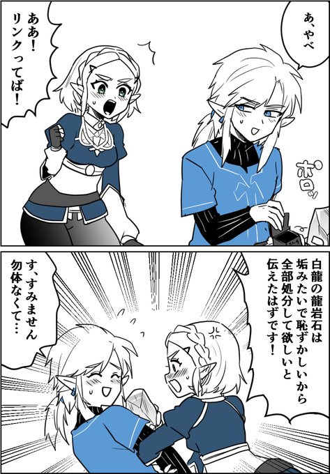 ゼルダ様の命令 