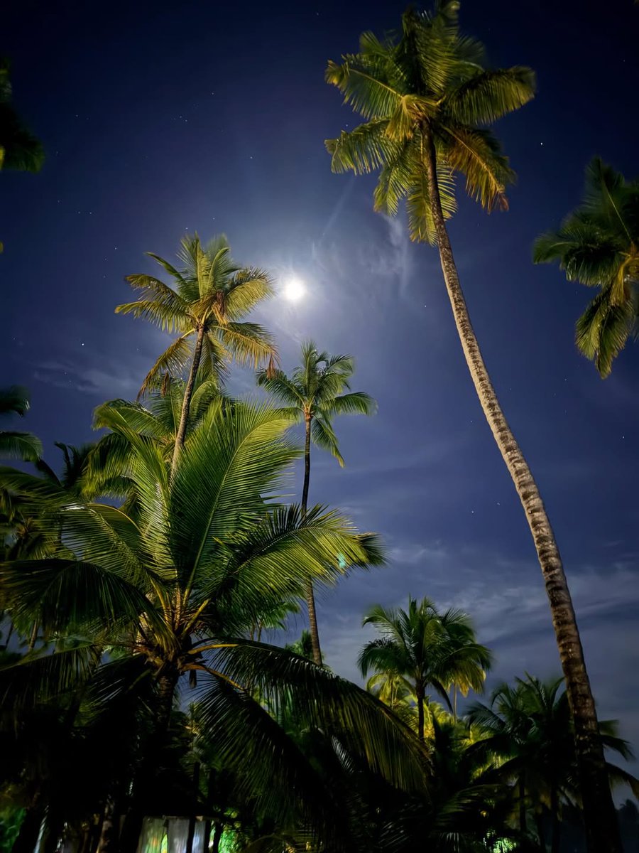 When you’re part of #ClubViva, you get the glow-up perks that make every moment hit differently! ✨🏝️nLearn more about joining Club Viva here: bit.ly/4p734K4

📸: <a href="/sarahlenore/">Sarah Lenore</a>