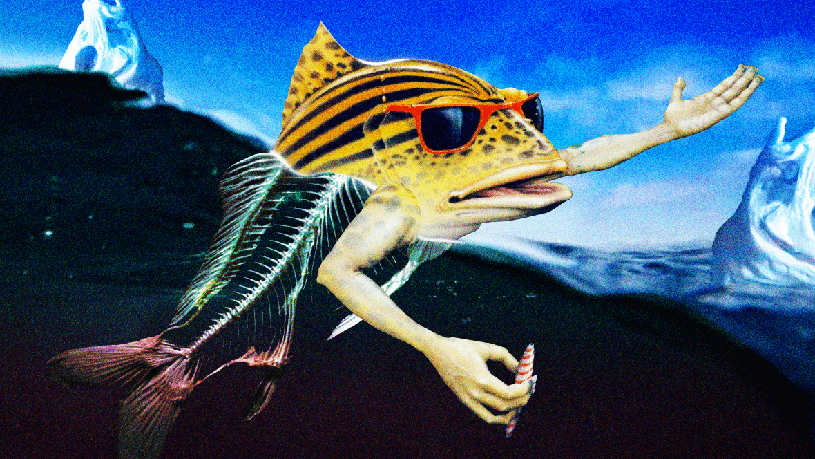 Zeph_Hareng's tweet image. Des eaux peinardes du Mozambique aux bateaux-usines de Sakhaline, trois heures d'expédition pour sonder ce qui se cache sous cette question :

C'est quoi ce jeu de pêche de con ?

Notre vidéo la plus personnelle.
Voici l'Iceberg des Jeux de Pêche.

🎣youtu.be/YRgg9TiddyU⚓️