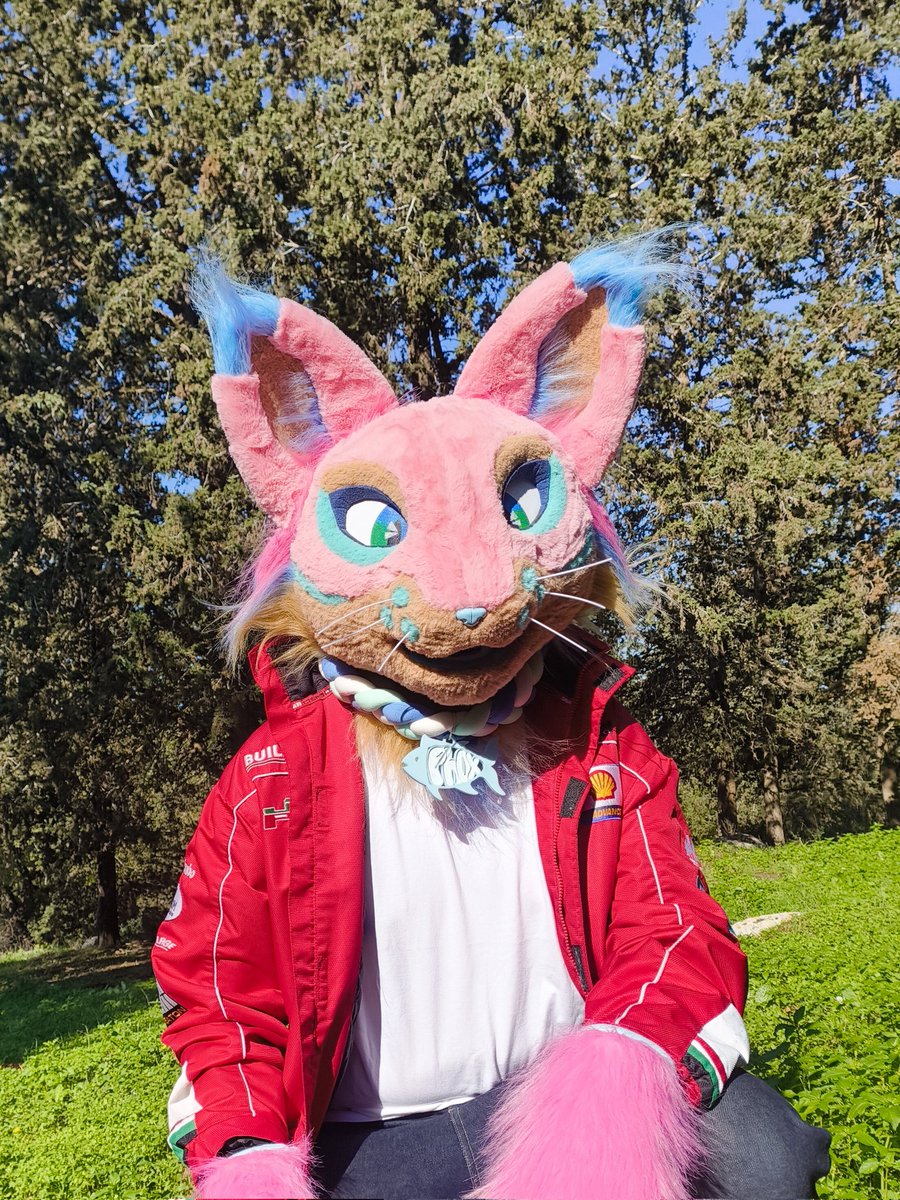 PhoenixSTRart's tweet image. Being a cat out in the forest 

#fursuitfriday #fursuit #furry