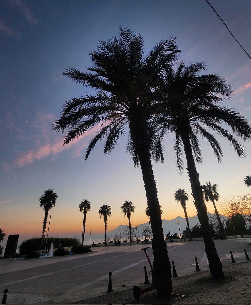 Yürüyelim mi cicikıs