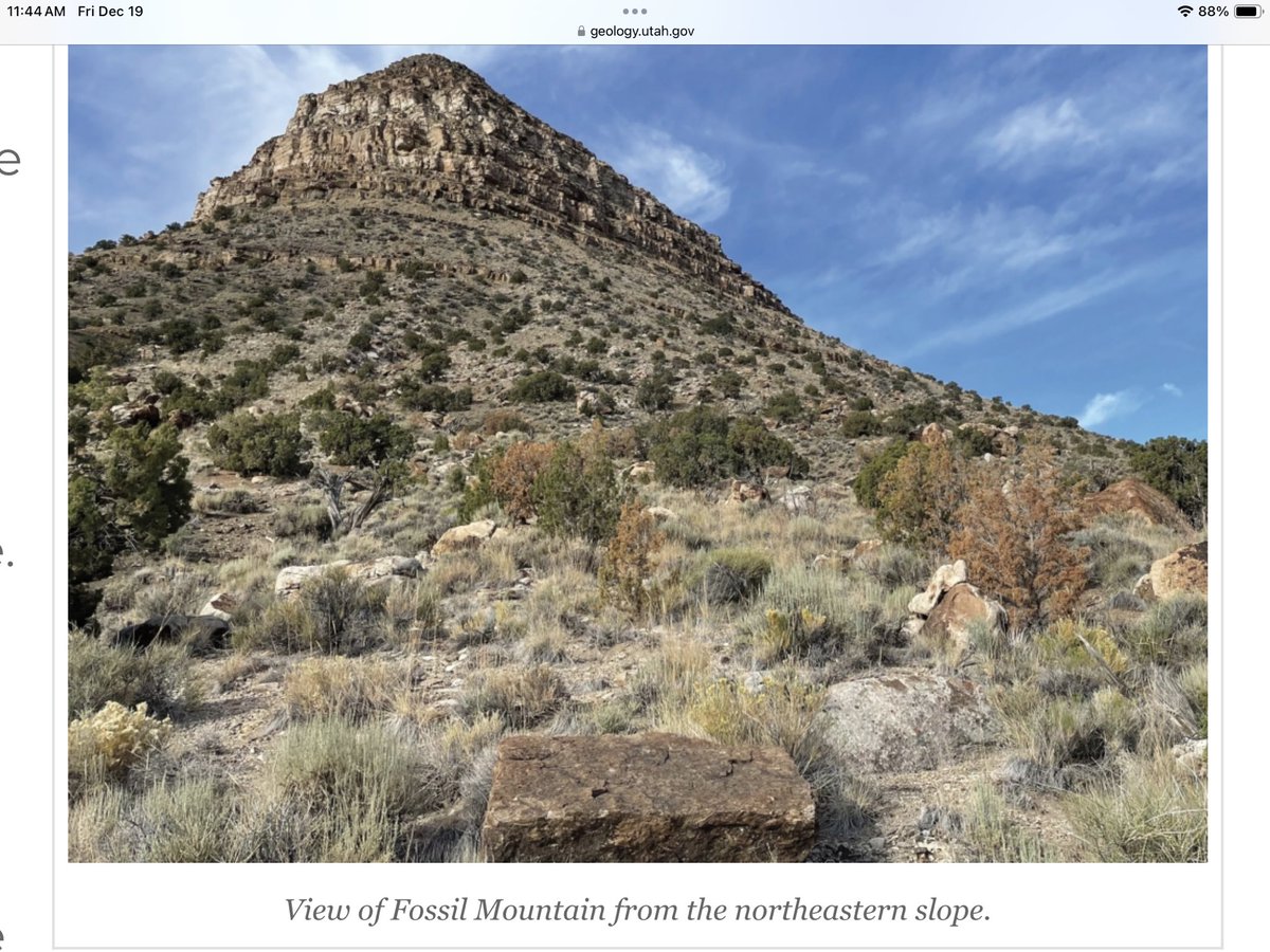 tblend3's tweet image. Lone time
there’s detention #regret
a weakness in the stars
I can’t echo my ancestors 
We all scrape to use
and loose our freedom
Fossils recovered show others
faced the hubris of saber teeth
and pesky volcanoes 
The process scares
While outcomes dare

#vss365 #FoxProse