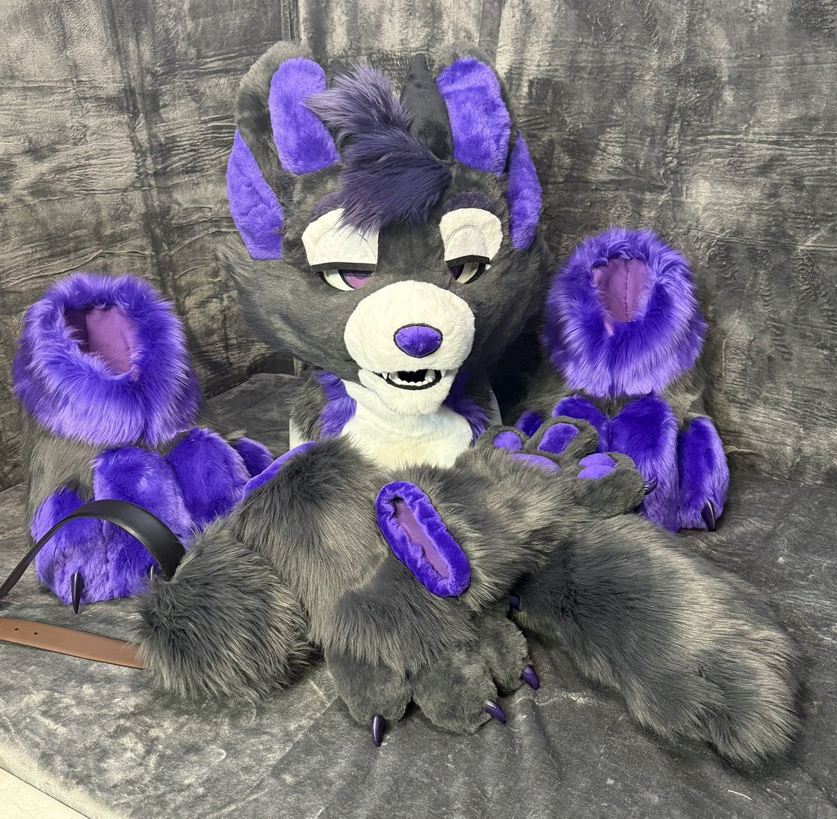 Crocworcs's tweet photo. He’s up up and away! Our first full-partial commission has been sent off to his forever home! May Ricky the hellhound be silly!
#FursuitFriday https://t.co/yYhdkQ8eUc