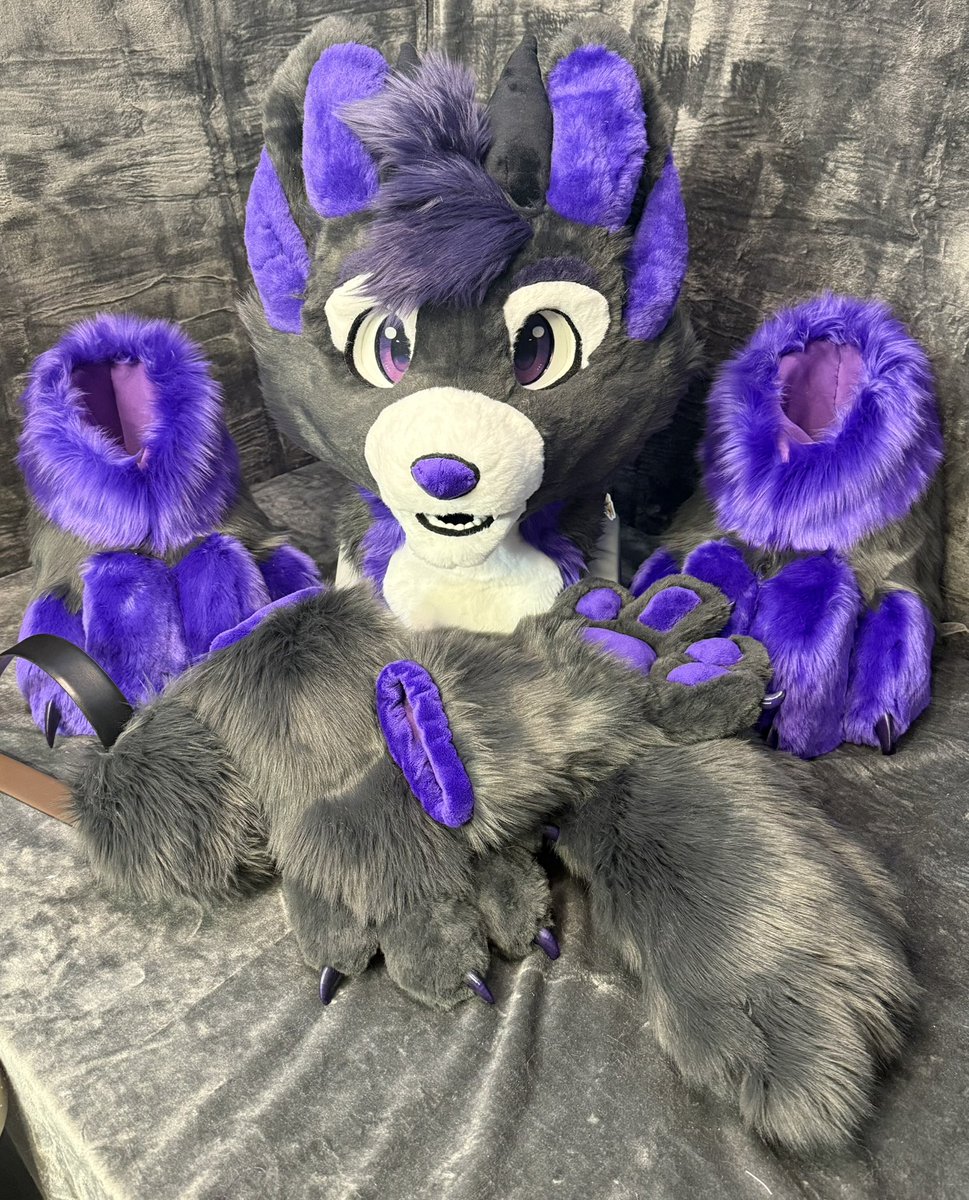 Crocworcs's tweet photo. He’s up up and away! Our first full-partial commission has been sent off to his forever home! May Ricky the hellhound be silly!
#FursuitFriday https://t.co/yYhdkQ8eUc