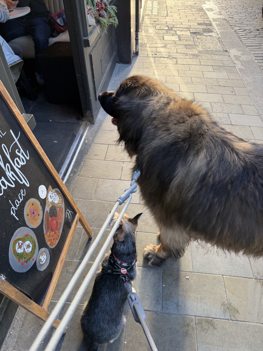 Still supporting local independent businesses <a href="/myplacesoho/">My Place Soho</a> even though <a href="/CityWestminster/">Westminster City Council</a> have taken benches away. Can’t stop us standing up