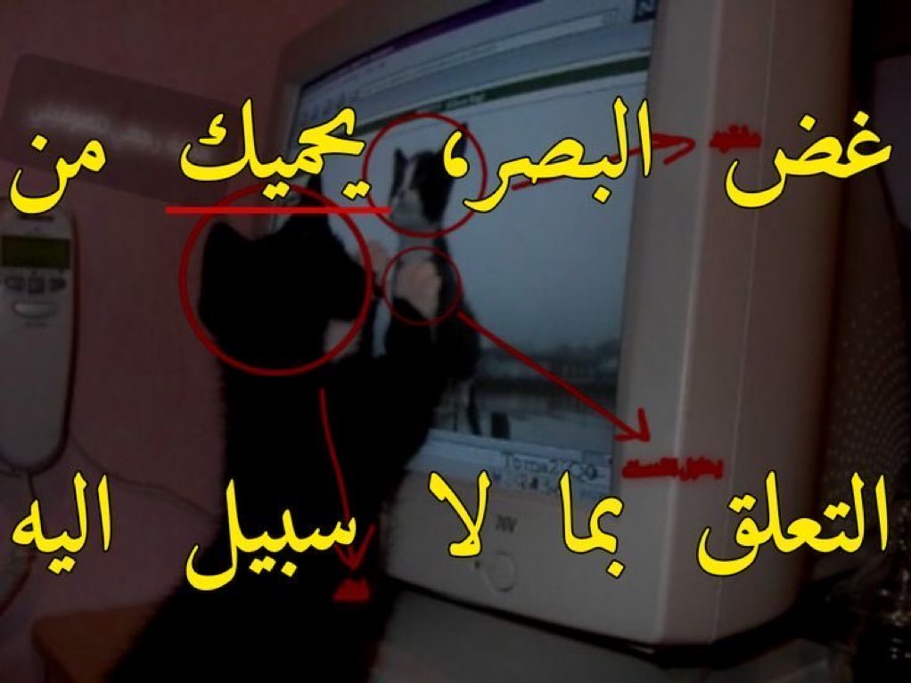 عبد الله ، (@3ayynn) on Twitter photo 