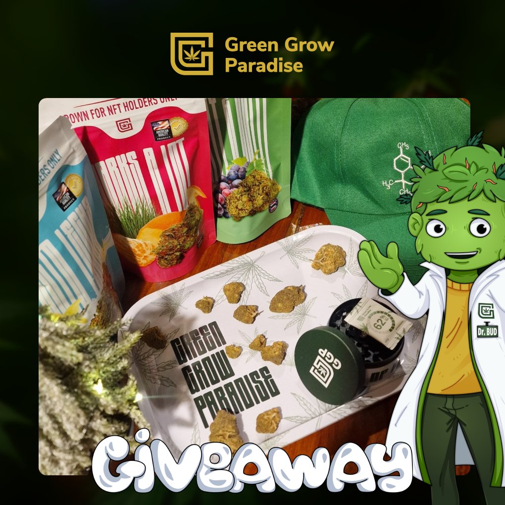 🎁 GIVEAWAY TIME

We're dropping 20 merch kits:
🌿 grinder
🌿 tray
🌿 cap

In Thailand? Bonus surprise gift for you 🇹🇭
Not a merch guy? Pick 0.2 SOL instead 💰

⏰ 48 hours only

How to enter:
✅ like
✅ retweet
✅ tag 2 frens
✅ follow <a href="/WilliamWX100/">William Wallace</a>  &amp; <a href="/ggpweb3/">Green Grow Paradise</a> 

gl 🍀
