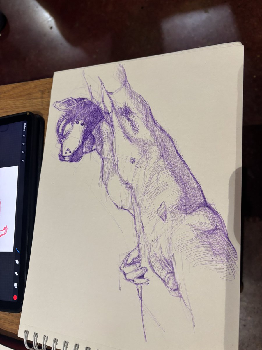 Pup Midas tweet media