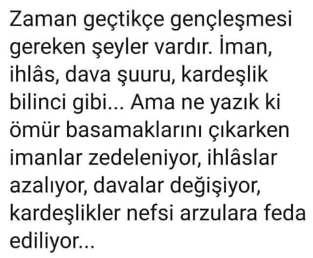 ŞEF~ tweet media