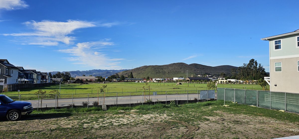 Carly Weiner tweet media