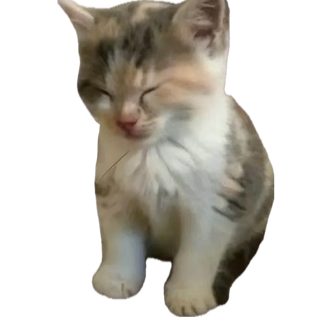 no puedo creer que ya fueron 9 años de estar viendo my hero academia