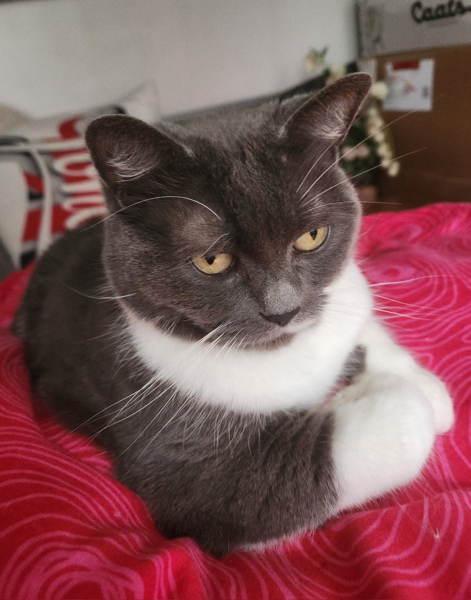 Pims attend son verre au pmu