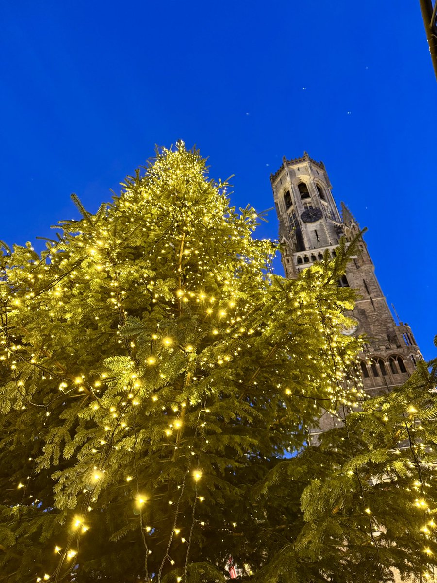 cris 59279 tweet media