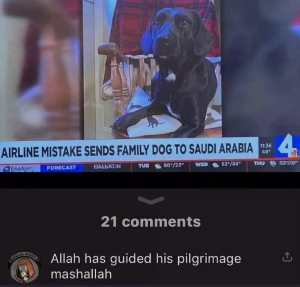 Nature Vids (@natureinmemes) on Twitter photo 