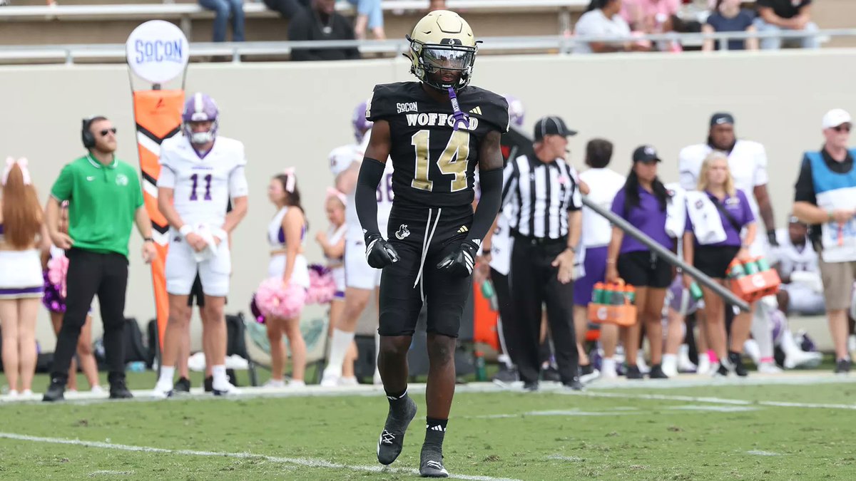 Cam Mellor tweet media