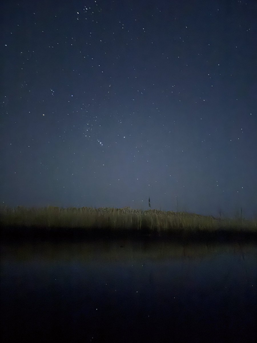 Jun Hosoya tweet media