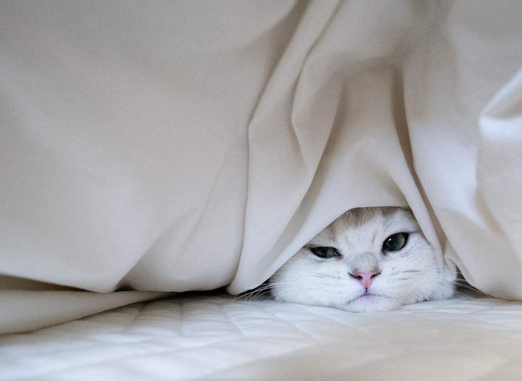 MARCO 🟡写真集「メイ先輩」🟡 (@marco74444) / Posts / X