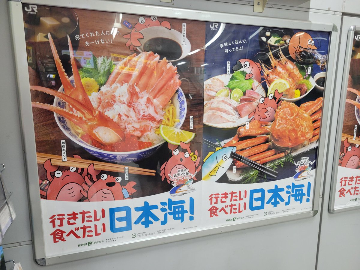 crab_love_club's tweet photo. 🦀🦀🦀🦀 https://t.co/HJWMrdb6ZD