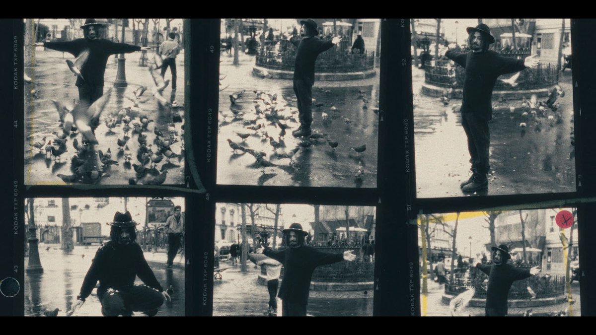 Counting Crows tweet media