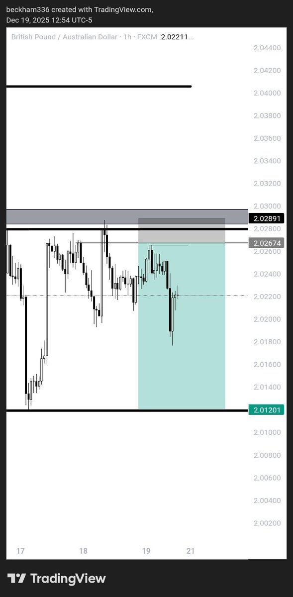 Shir B🎩 tweet media