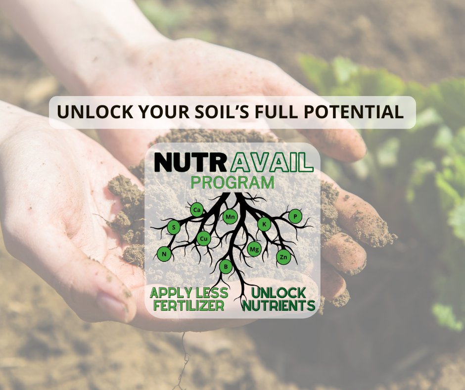 AgPerformanceBC's tweet image. This formula contains specialized compounds designed to increase nutrient availability in the soil and enhance plant absorption, ensuring crops can access and utilize more of the inputs applied.

agperformance.com/nutravail 
📞 641-562-2370 
#AgPerformance #PlantHealth #AgPerformance…