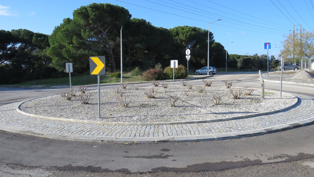 Manutenção e limpeza dos espaços verdes, requalificados e jardins abrange mais de mil loendros na freguesia dlvr.it/TPw65P