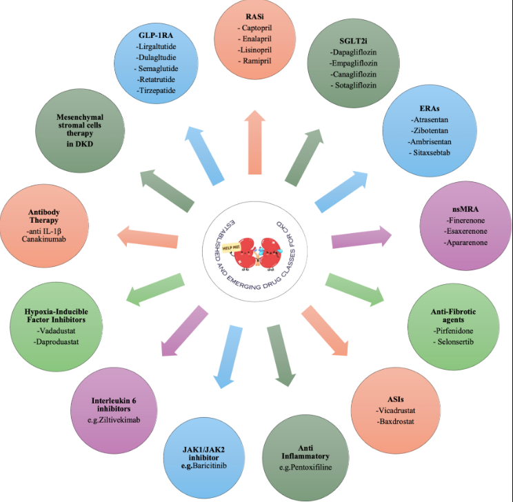 KIReports's tweet photo. #CKDs at the Crossroads: From Failures to #Future #Therapies
https://t.co/zR4a23Hqsy
#KIRReview https://t.co/gBKAUNJ31M