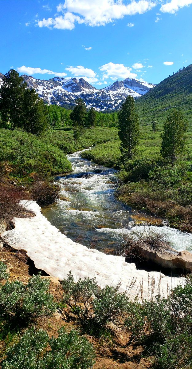 geologyBits's tweet photo. 🟥 ⛏️ Lamoille Canyon
is a striking 12-mile-long glacial valley in the Ruby Mountains of northeastern Nevada, renowned for its classic U-shaped profile, polished rock walls.
❤️ 🔁 #LamoilleCanyon #RubyMountains
🎞 @wanderingskiesphotography
▶️ Cirques at the headwaters, hanging valleys, moraines, and sharp arêtes and horns.
These features expose metamorphic and igneous rocks, including gneiss and granite, from the mountains' deep crustal origins.
▶️ The Ruby Mountains formed as a metamorphic core complex, where tectonic extension and uplift exhumed deeply buried rocks.
Initially, a pre-existing valley may have been shaped by stream erosion (creating V-shaped sections in the lower canyon).
During the Pleistocene ice ages, large alpine glaciers flowed down the canyon, powerfully scouring and widening it into its prominent U-shape, with multiple advances (including major ones correlated to older and younger glacial periods) depositing moraines and carving features like those seen today.