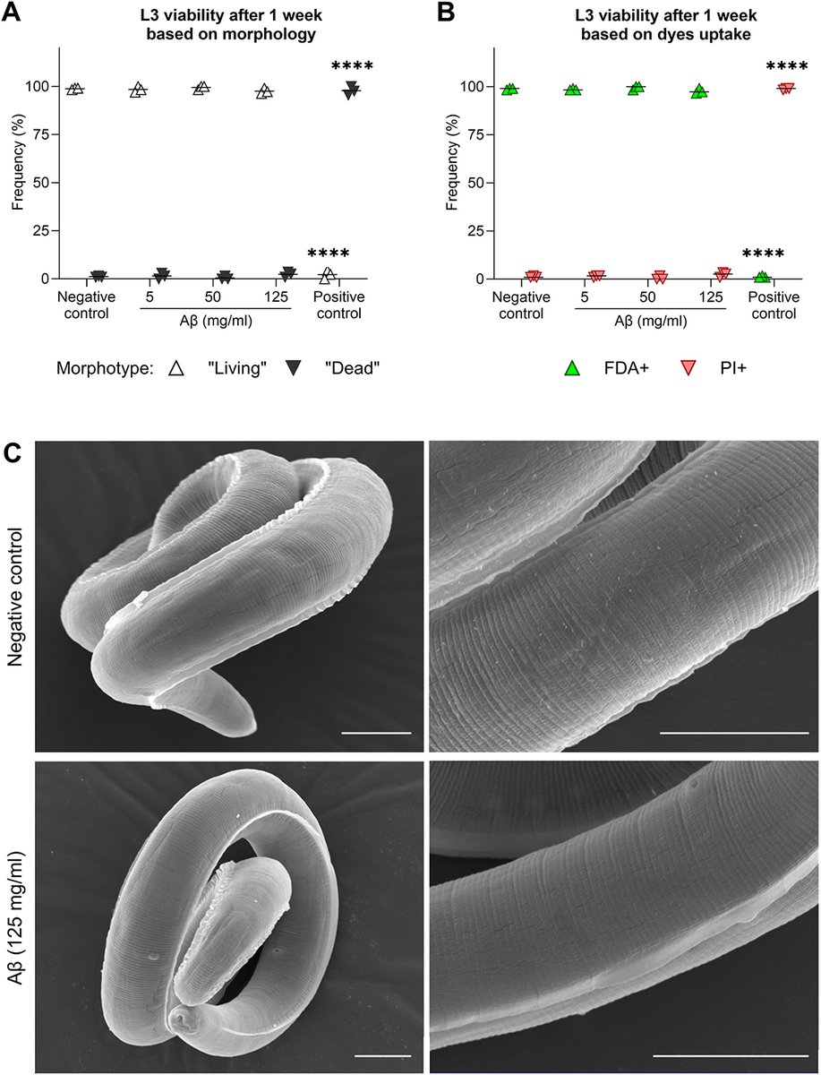 Parasite - The Journal tweet media