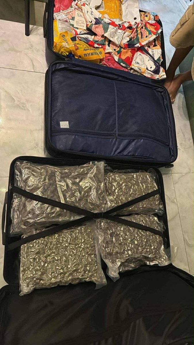 ✈️✈️✈️✈️✈️✈️✈️