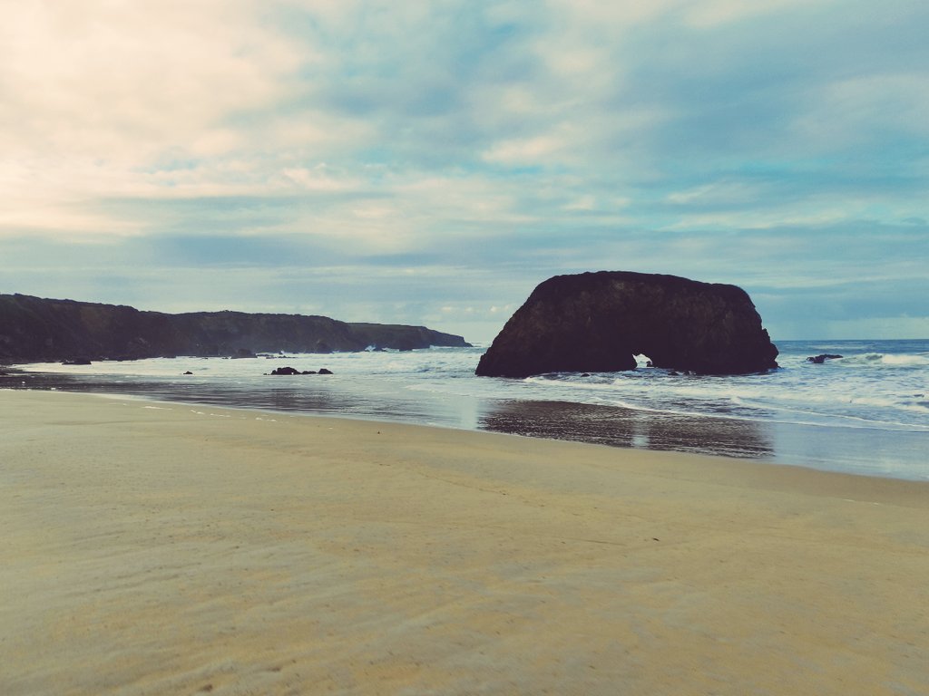 rosroc🍍 tweet media