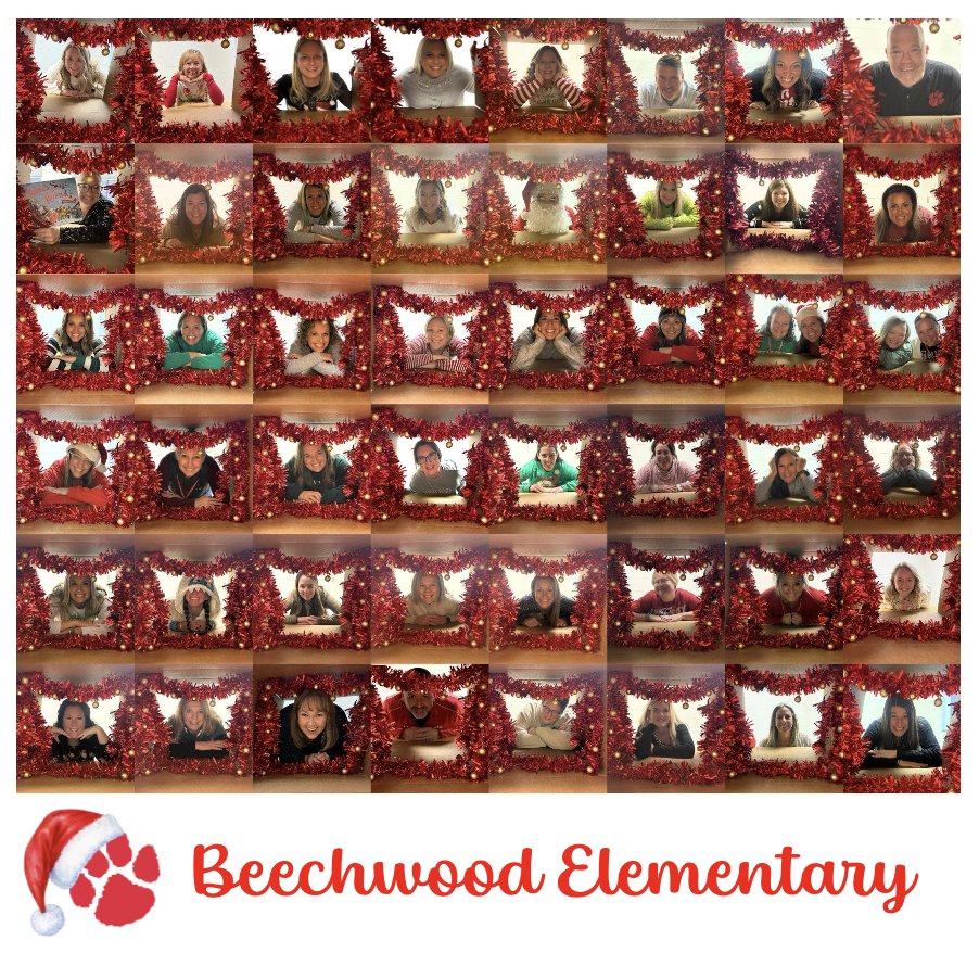 Beechwood Tigers tweet media
