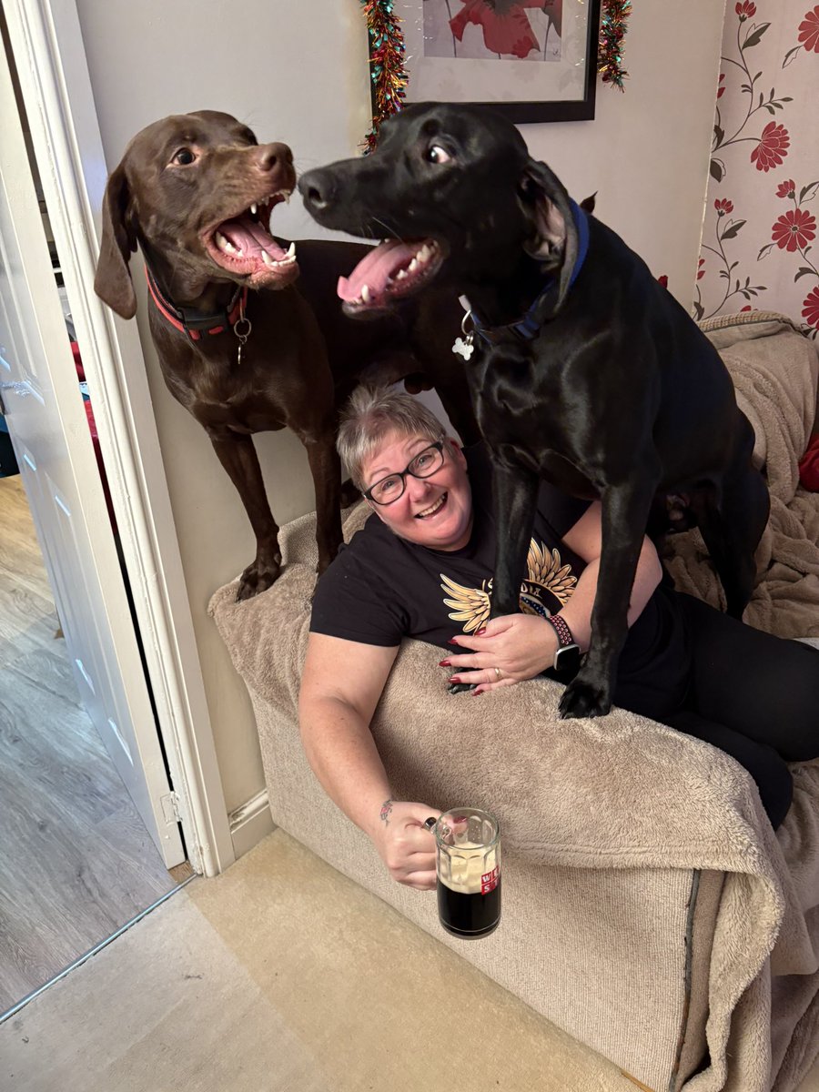 Just a relaxing Friday evening with Bailey and his brother Milo😂😂🤷‍♂️