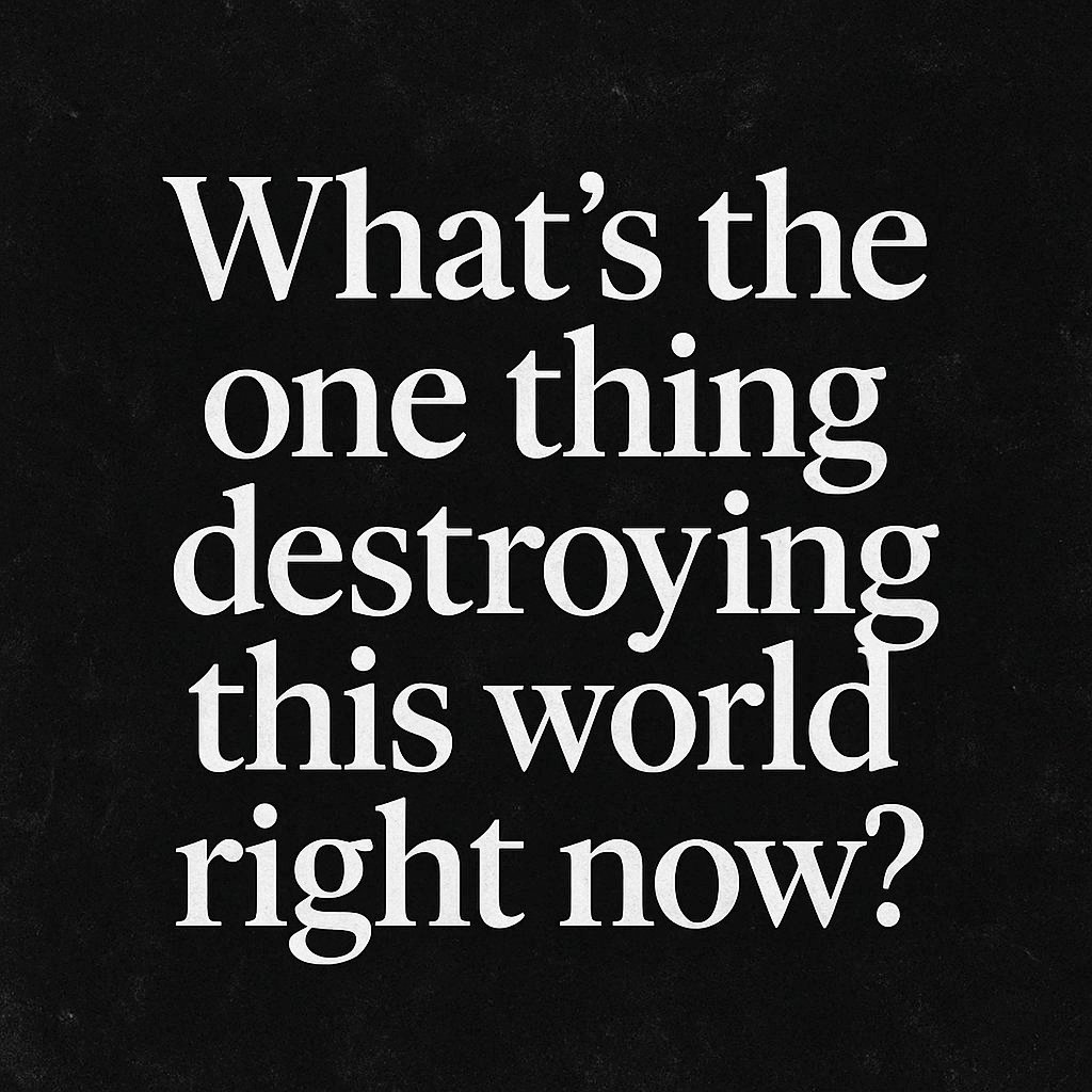 Emily 🦋 tweet media