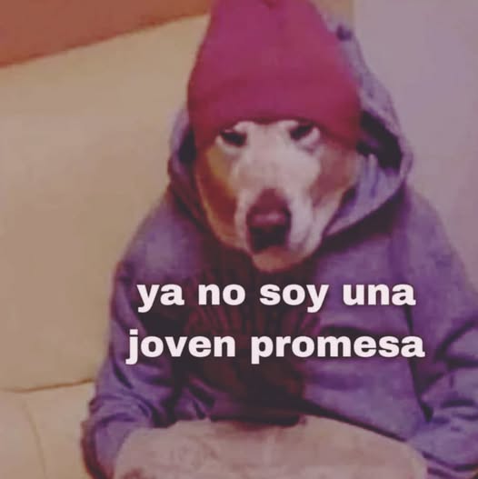 nachitus12's tweet image. Dentro de todo lo turbulento que fue este año la verdad si me animaría si me ayudan a llegar a los 700 seguidores antes de fin de año