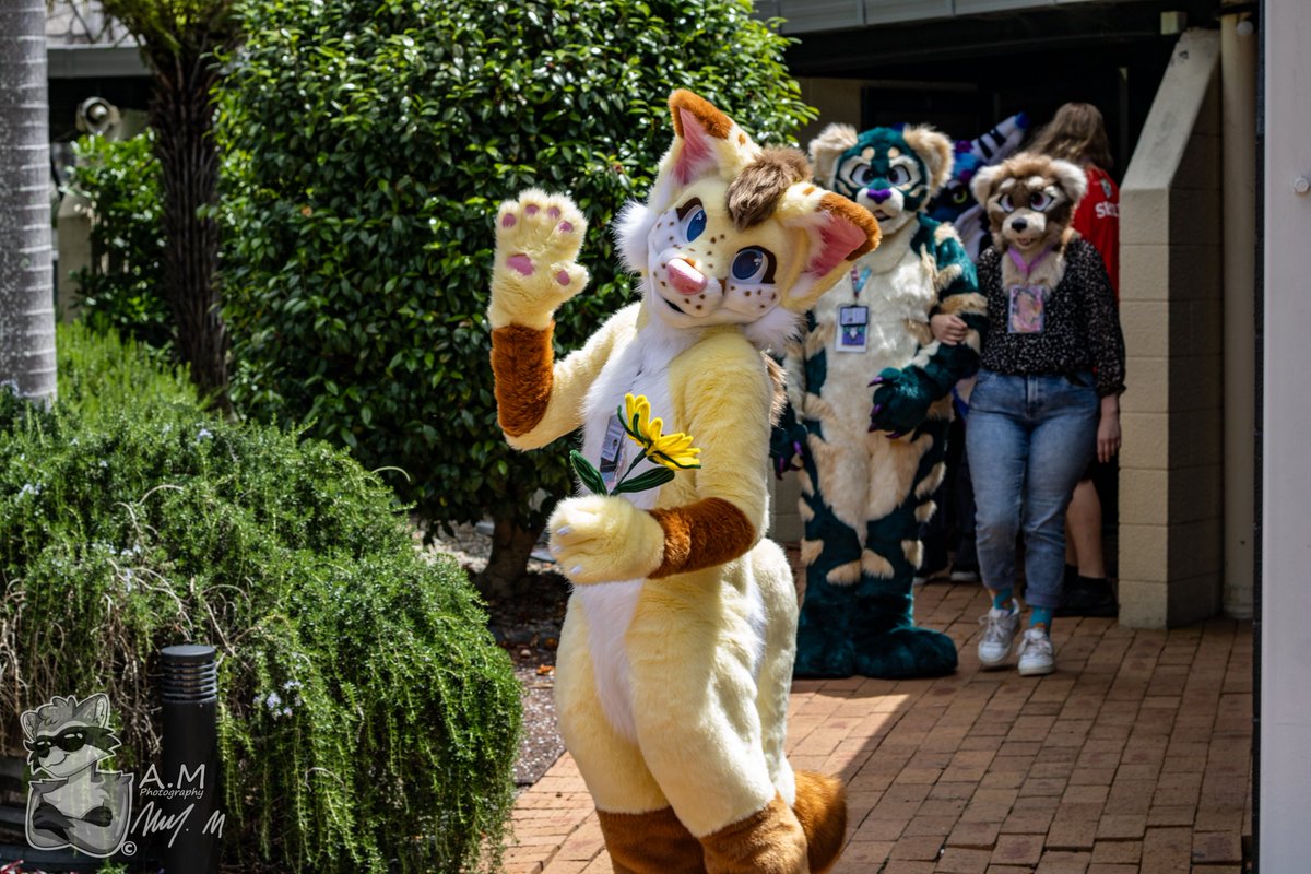 🍪Snikerdoodle🍪 tweet media