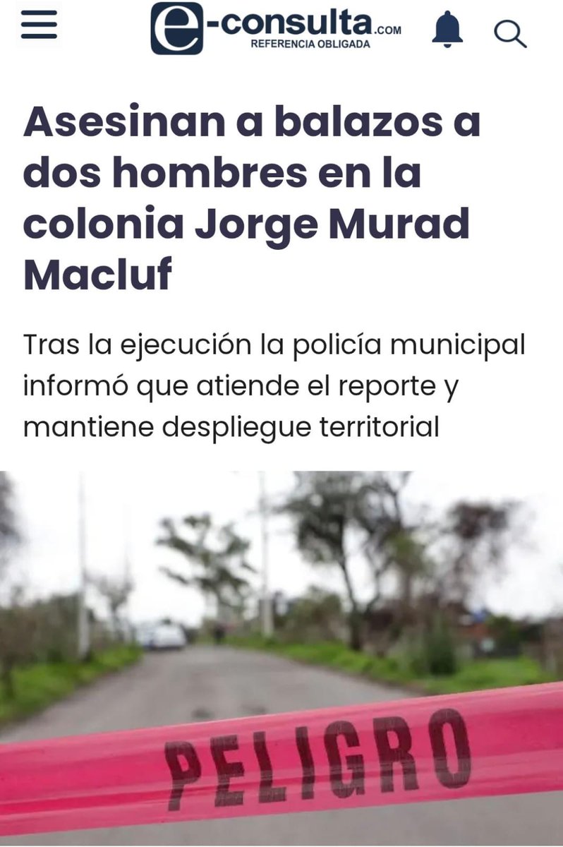 PAN Puebla tweet media